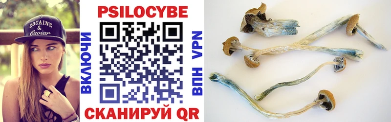 Псилоцибиновые грибы прущие грибы  где купить наркоту  Мценск 