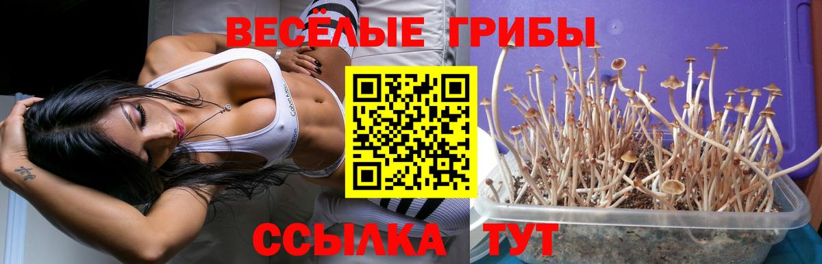 Галлюциногенные грибы мицелий  Мценск 